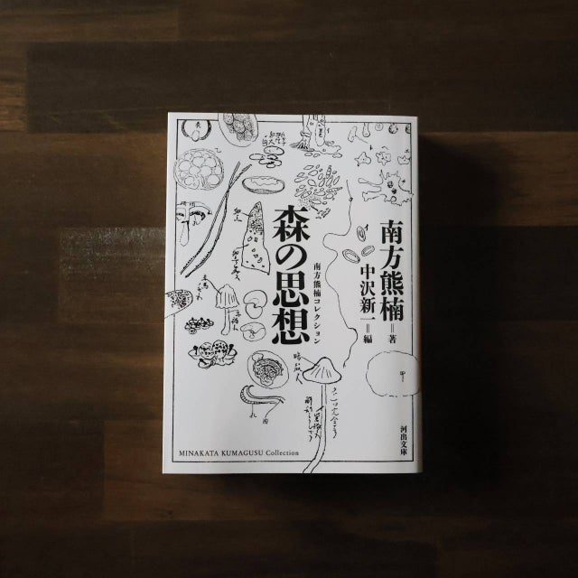 BOOKSライデン